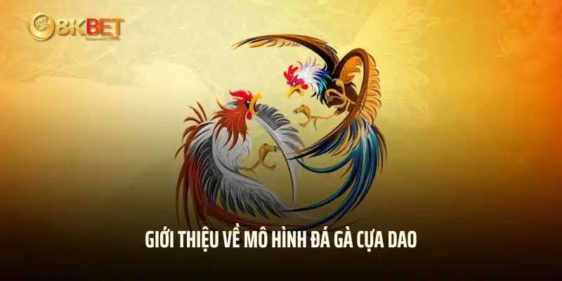 Giới thiệu về mô hình đá gà cựa dao