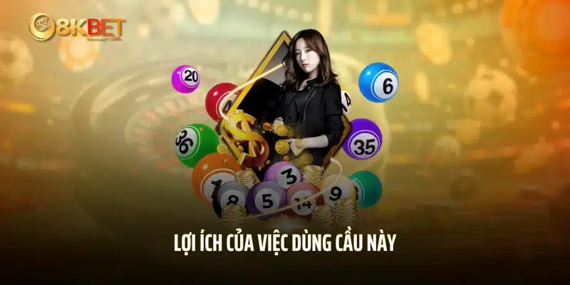 Lợi ích của việc dùng cầu này 