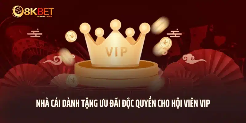 Nhà cái dành tặng ưu đãi độc quyền cho hội viên VIP