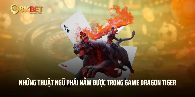 Những thuật ngữ phải nắm được trong game Dragon Tiger