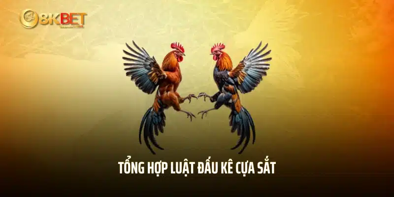 Tổng hợp luật đấu kê cựa sắt